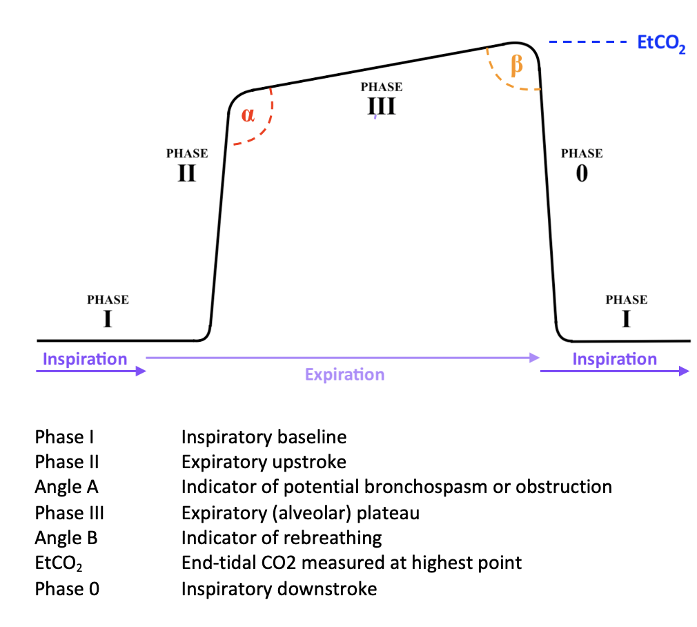 Capnography