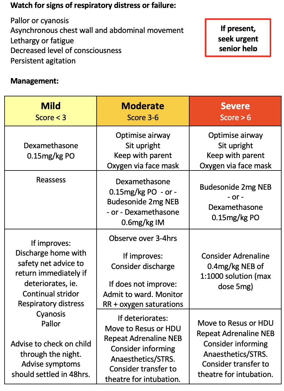 croup guidelines