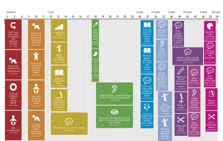 developemental milestones