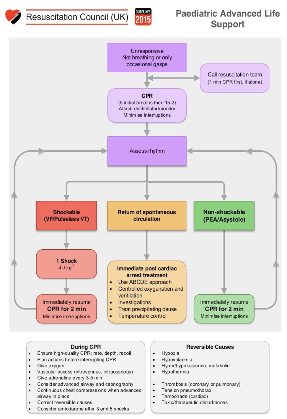 Paediatric Als Algorithm