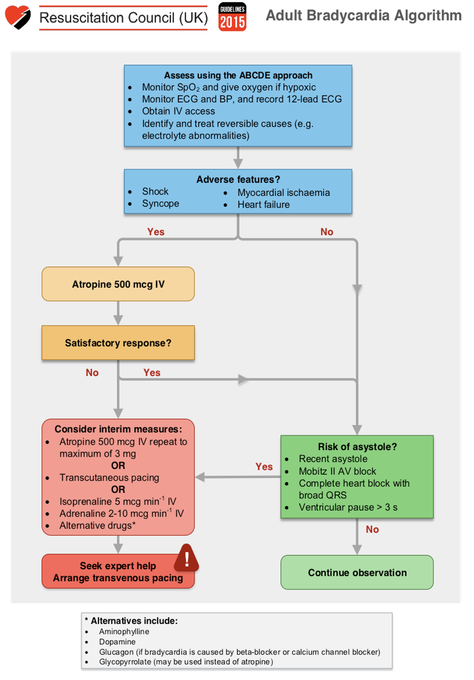 Adult Bradyarrhythmia Algorithm